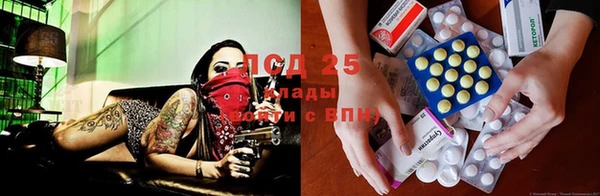 а пвп мука Богданович