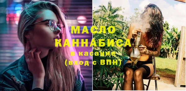 mix Богородицк